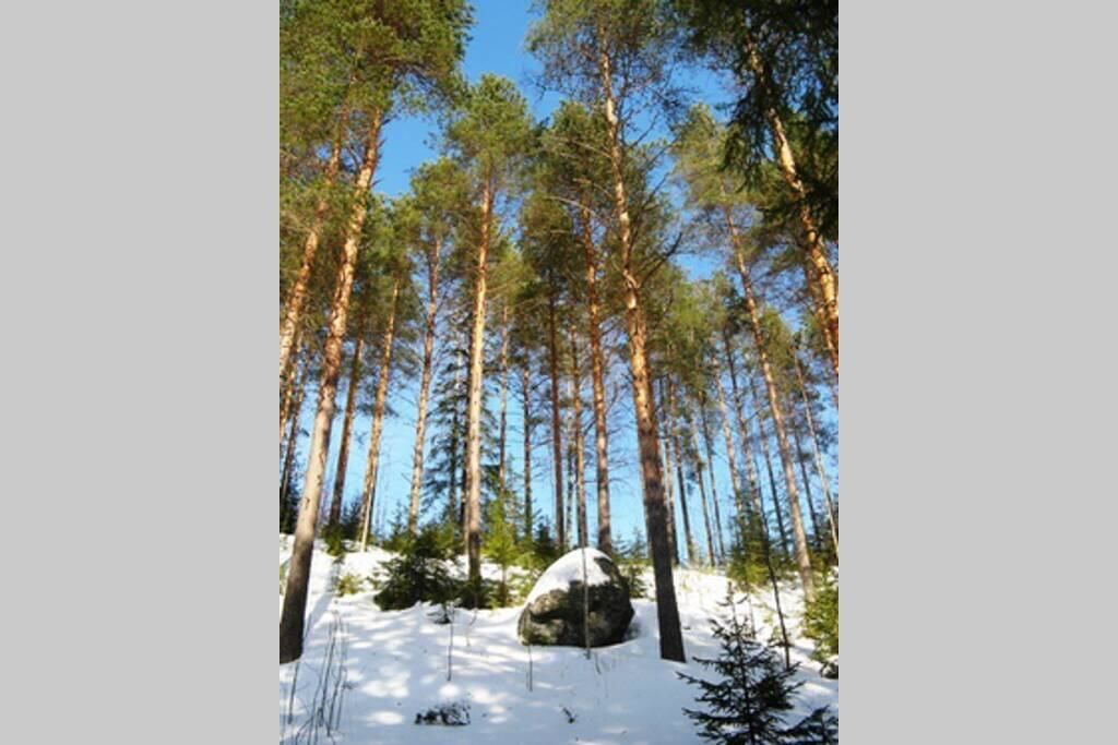 Виллы Уютный финский дом у подножия горы Савонлинна-21