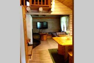 Виллы Уютный финский дом у подножия горы Савонлинна Вилла с 1 спальней-14